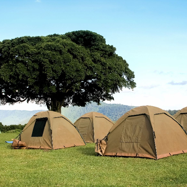 6 DAYS BUDGET CAMPING SAFARI